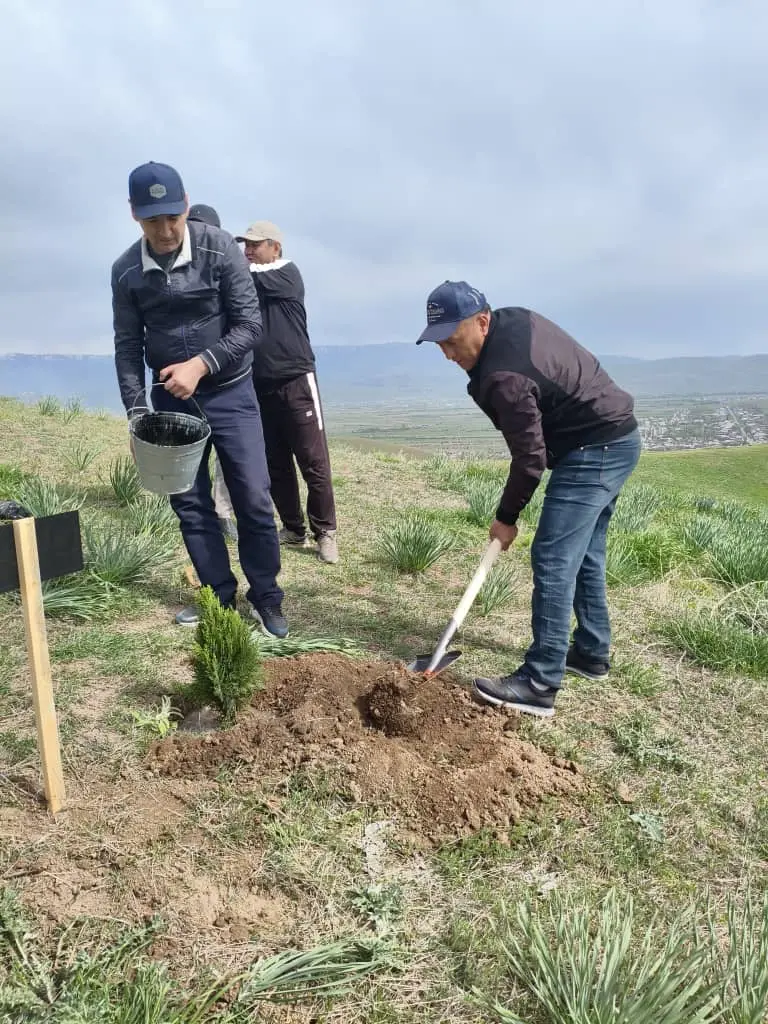 488917601 656896163618076 1175196366762069932 n