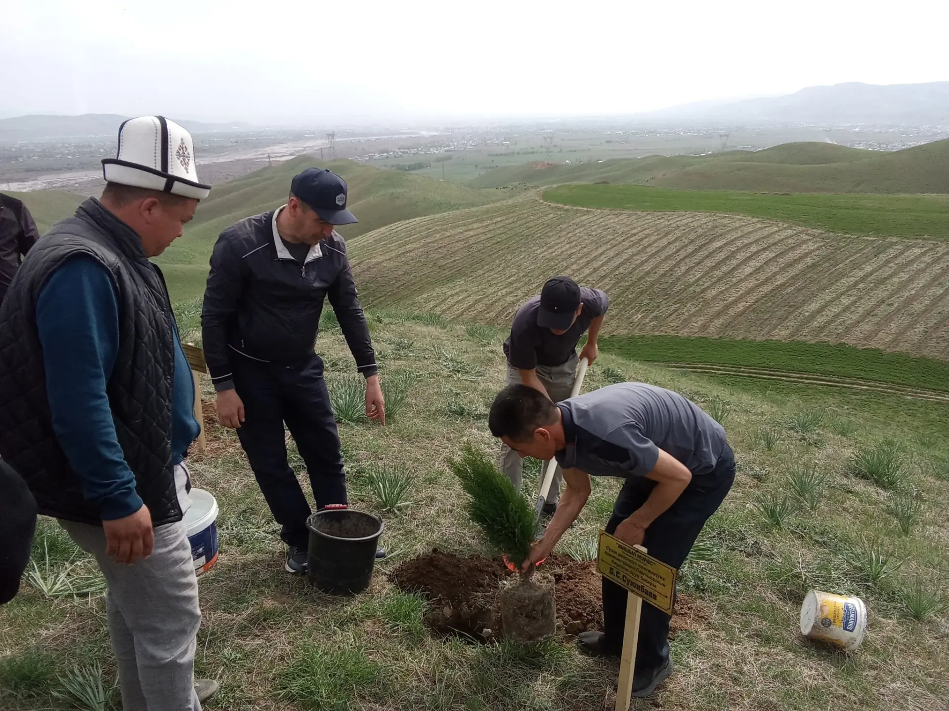 488926098 656896023618090 4054580442033277100 n