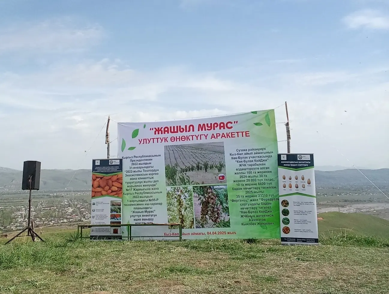 489121396 656901973617495 1231273737380392188 n