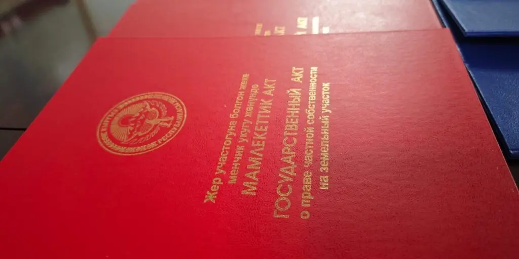 Izobrazhenie whatsapp 2025 04 09 v 14.45.04 967a594f 2048x1536 1 1024x512