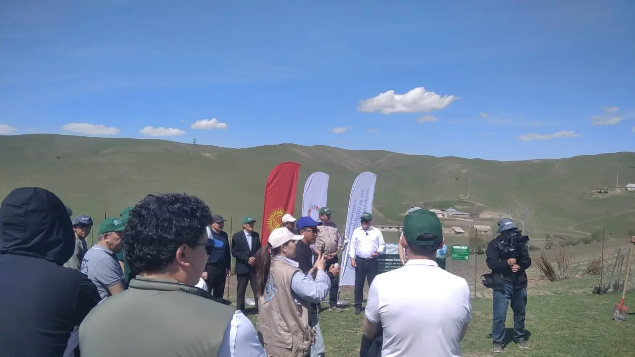 WhatsApp Image 2026 04 06 at